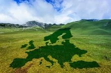 Die Umrisse von Europa in dunklem Grün auf einer hellgrünen Bergwiese. 