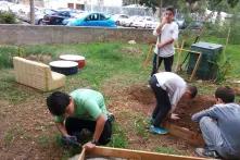 Kompostprojekt in Israel