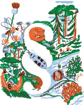 Coverbild des Magazins Böll.Thema 04/20 "Die Natur braucht Schutz", Abbildung: Ein weißes Paragrafen-Symbol vor verschiedenen Tieren und Pflanzen
