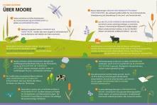 12 kurze Lektionen über Pestizide