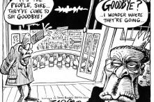 Cartoon by Zapiro about the current situation in Zimbabwe.