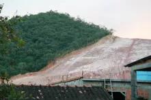New Economy of Nature: REDD does not prevent deforestation