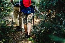 Ostdeutschland: Foto von zwei Wanderern im Wald