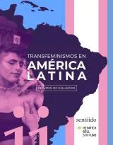 Cover: TRANSFEMINISMOS EN - AMÉRICA LATINA - RESUMEN DE HALLAZGOS